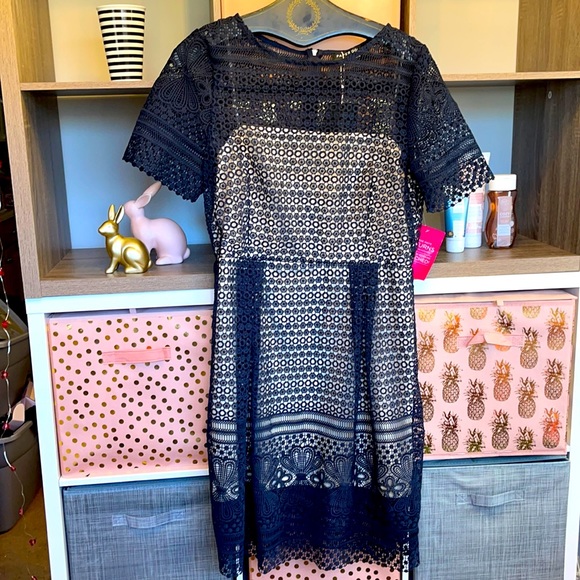 Paper Dolls London from ASOS Dresses & Skirts - Paper Dolls London Navy Overlay Dress